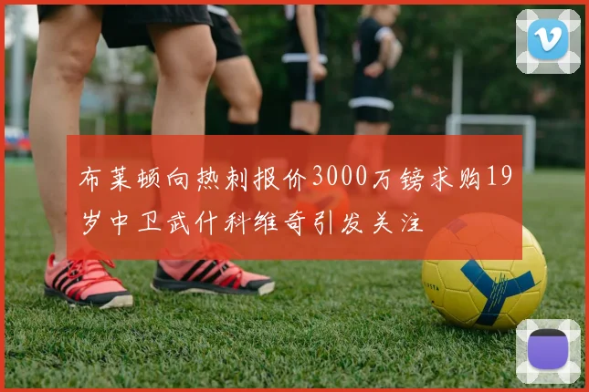 布莱顿向热刺报价3000万镑求购19岁中卫武什科维奇引发关注